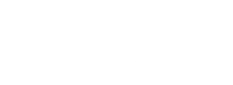 Logo White